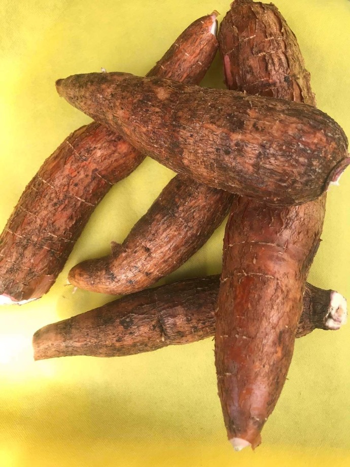Manioc (kg)