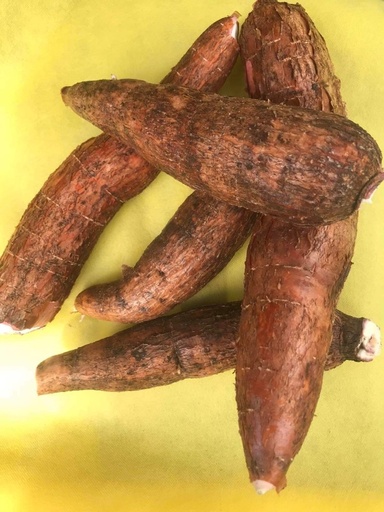 Manioc (kg)